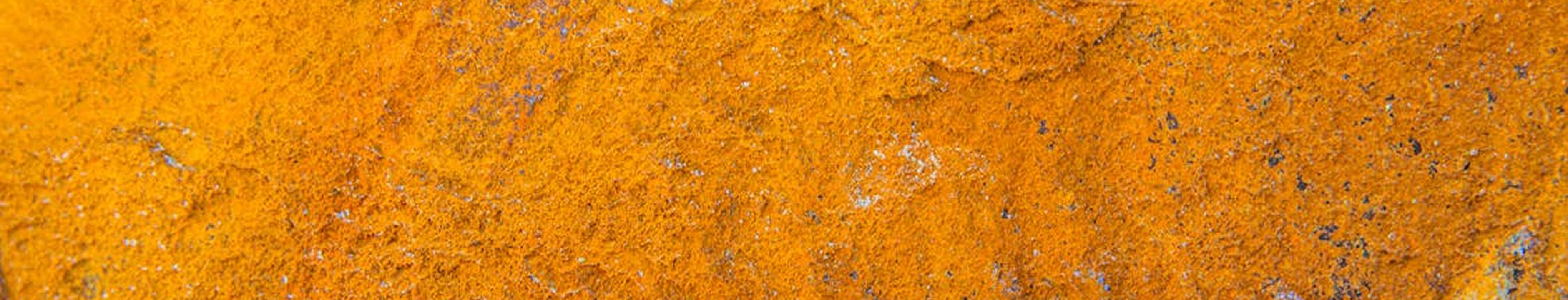 serene image of bamboo